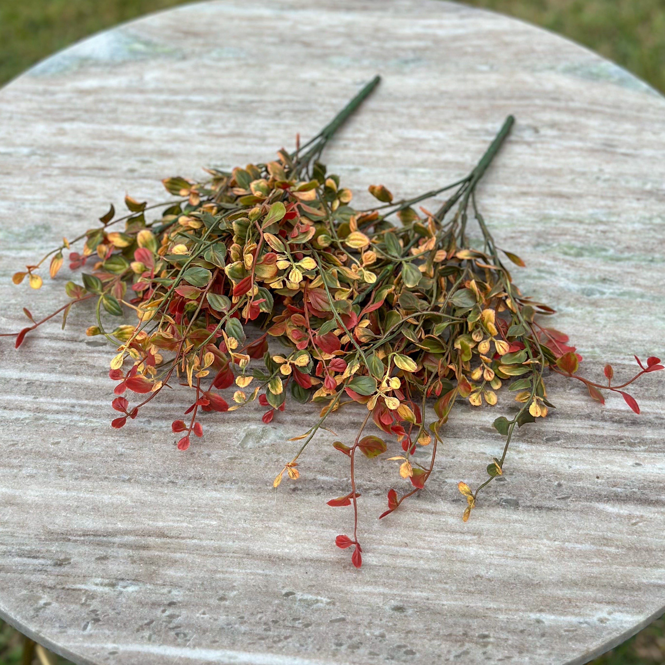 Pimpernel Bush | Set of 2