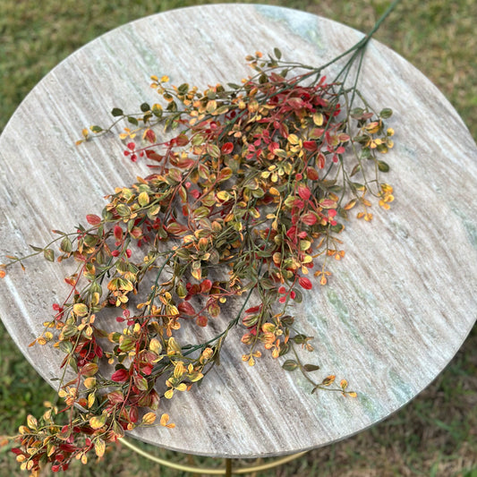 Pimpernel Hanging Stem