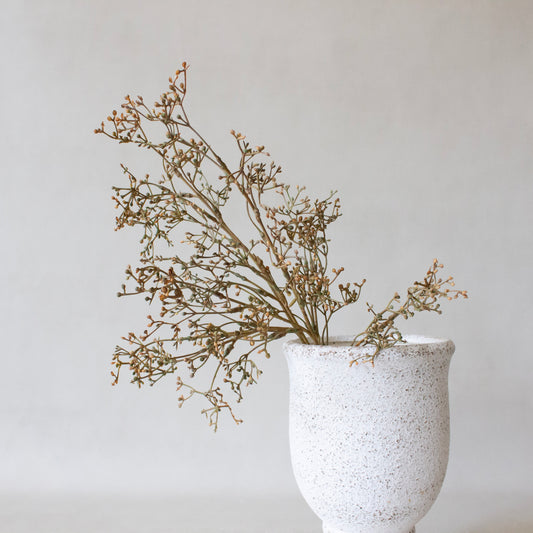 Muted Golden Brown Seed Pod Branch Bunch
