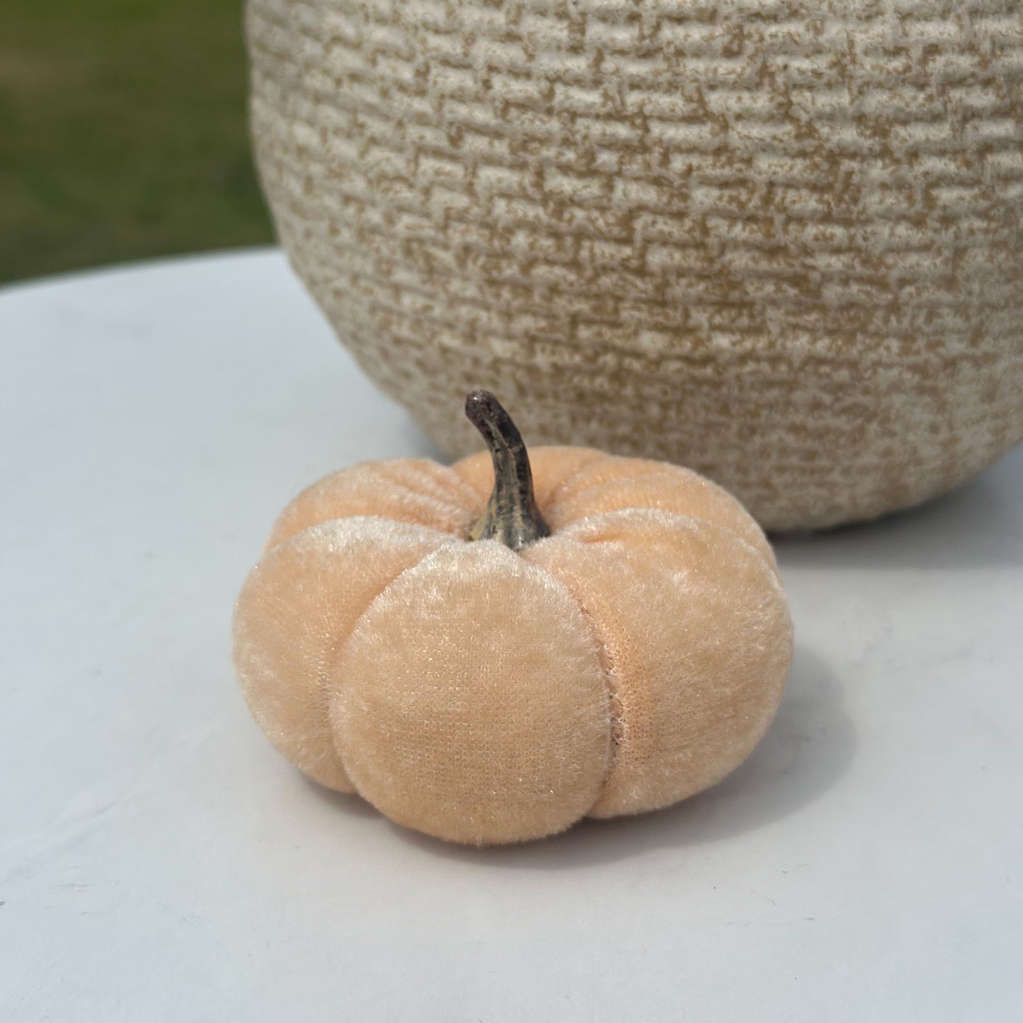 Velvet Pumpkin | Harvest, Snow, or Mocha