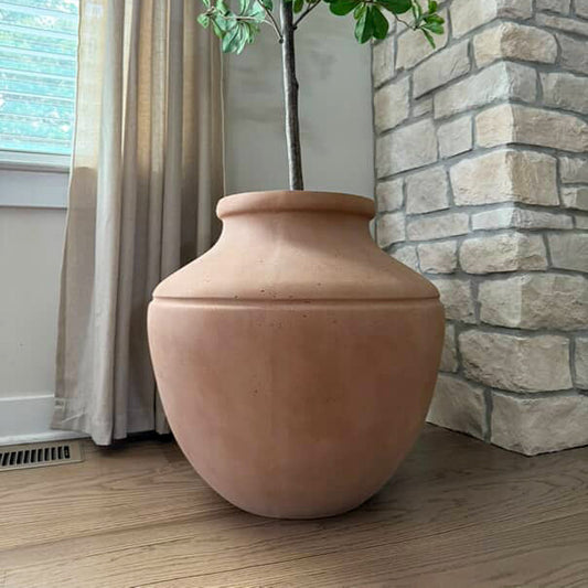 Terracotta pot with a plant on a wooden floor against a stone wall.