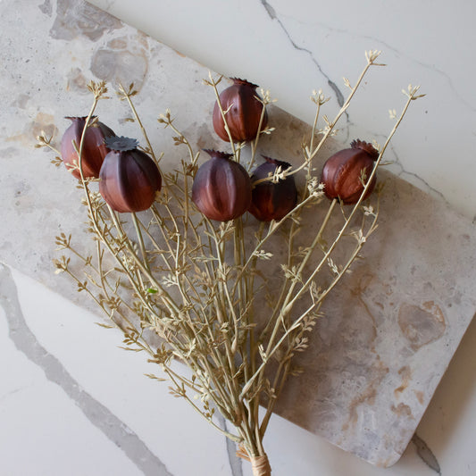 Harvest Pod Bundle | Plum