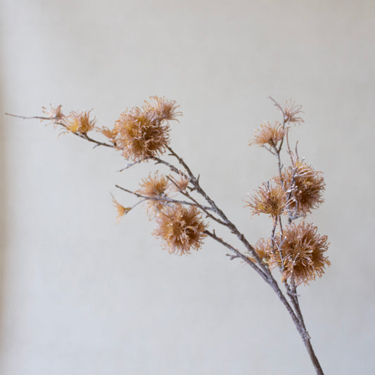 Dusty Mauve Plume Stem