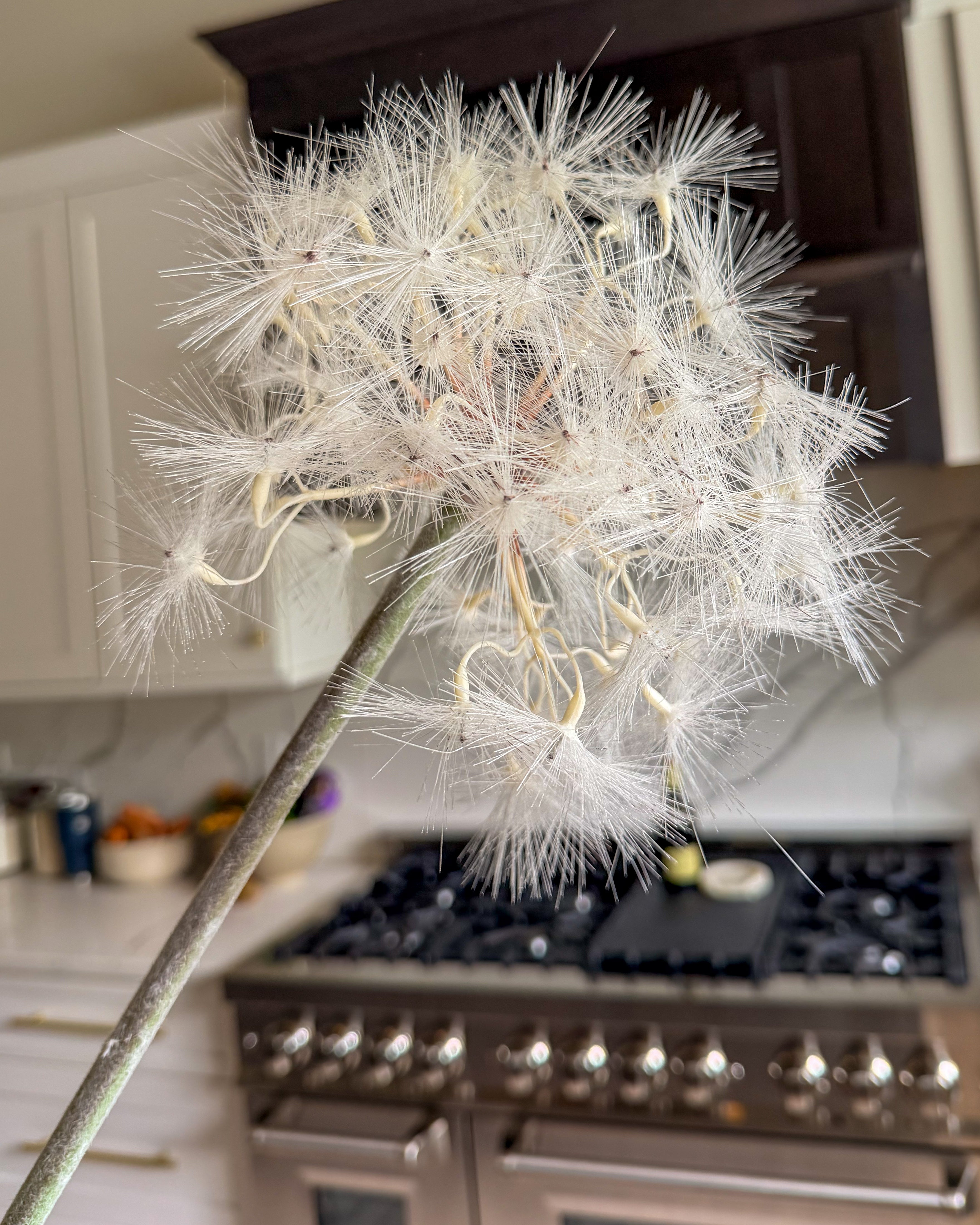 Faux Grand Meadow Dandelion Stem