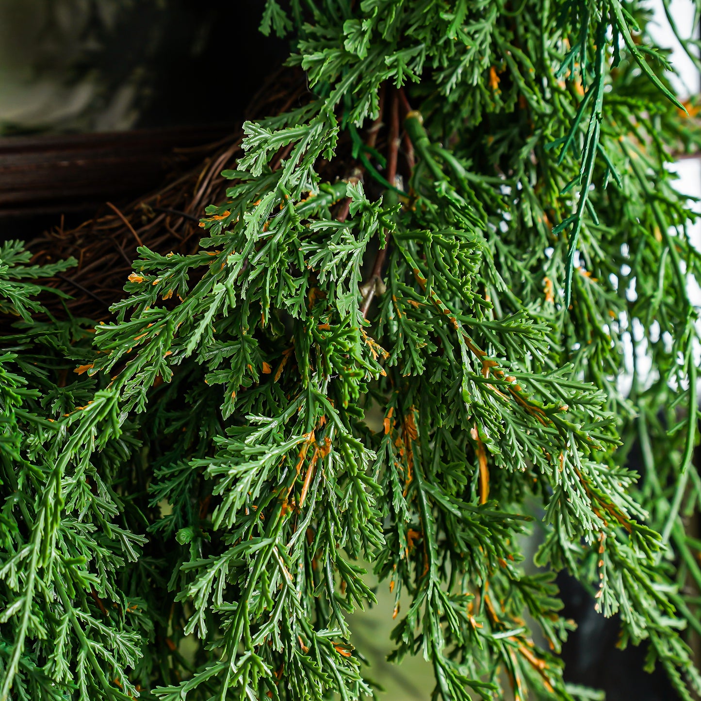 Draping Juniper Hanging Wreath | Small