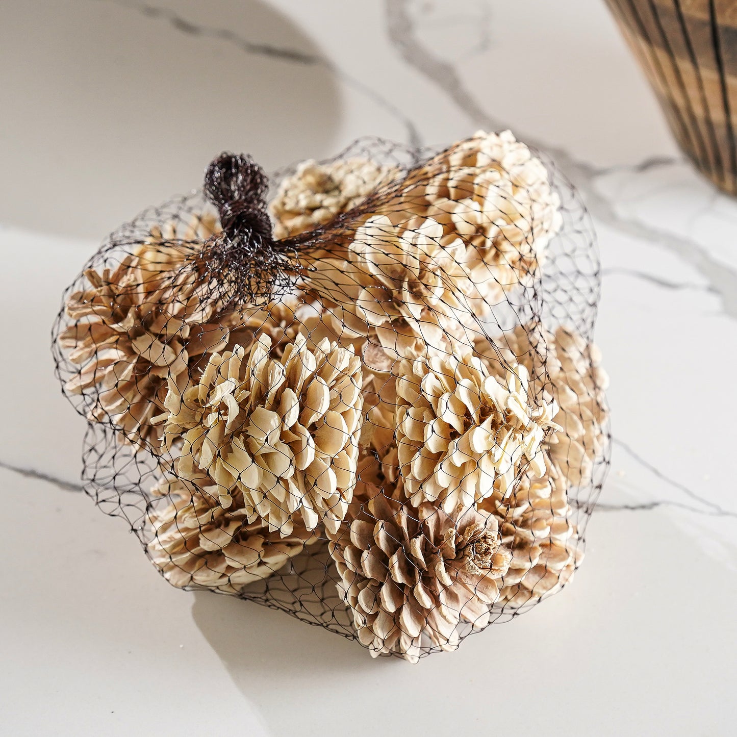 Bag of Dried Bleached Pinecones