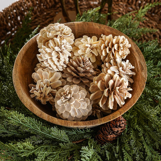 Bag of Dried Bleached Pinecones