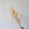 Natural Lace Leaf Stem | Cream