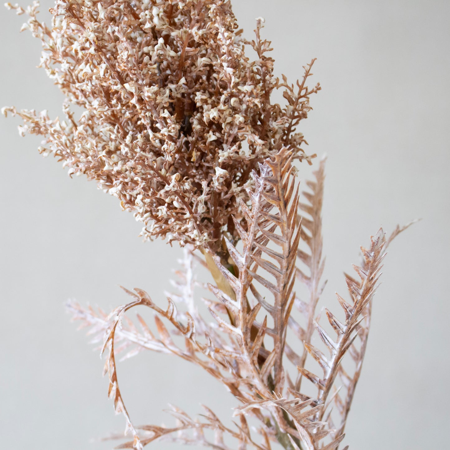 Natural Lace Leaf Stem | Muted Brown