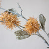 Copper Bristle Seed Head Stem