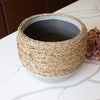 Rope Wrapped Concrete Pot