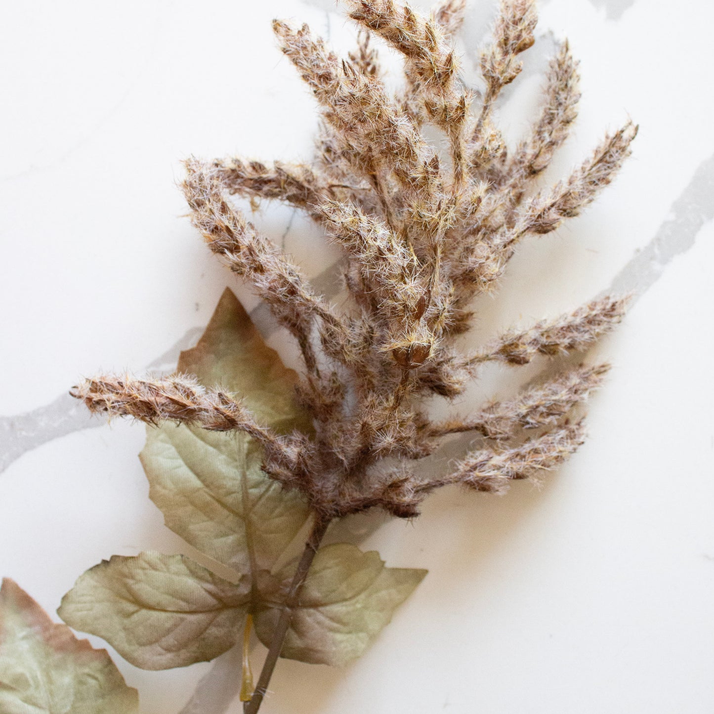 Golden Fields Cattails | Nightshade