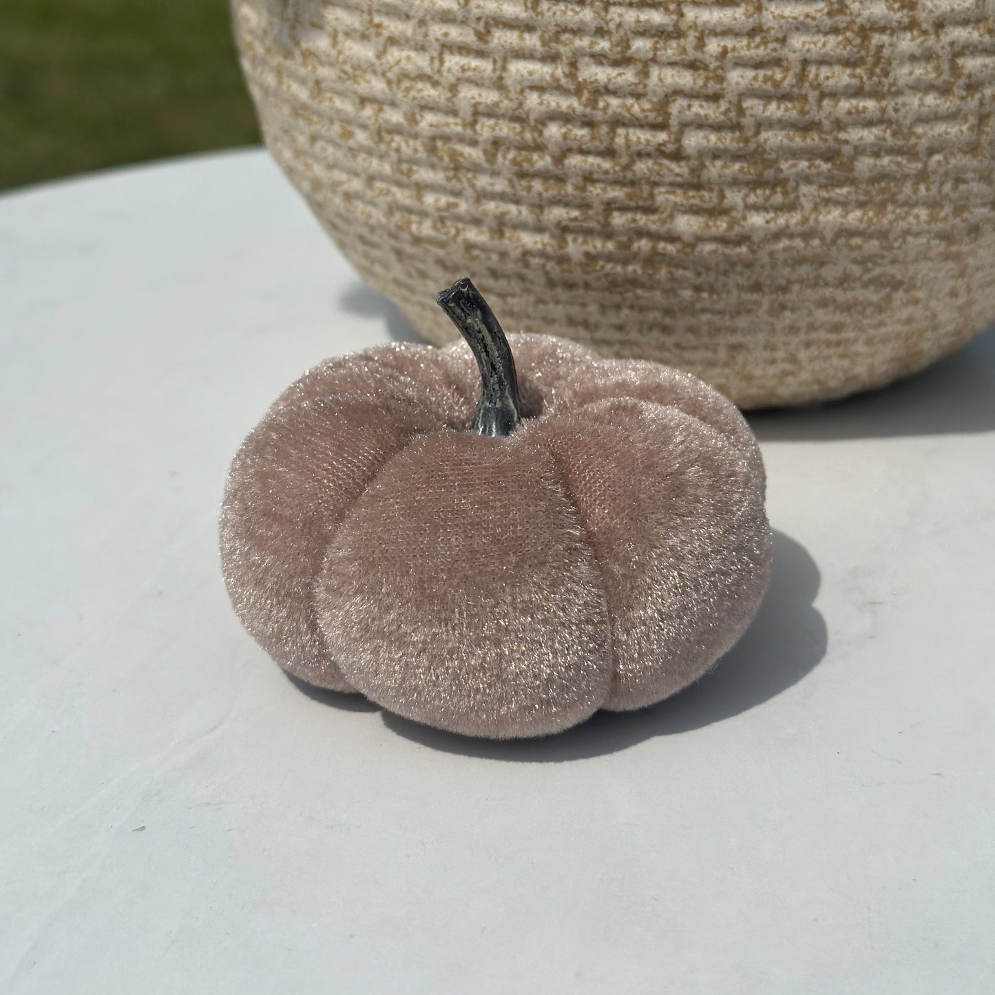 Velvet Pumpkin | Harvest, Snow, or Mocha