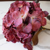Hydrangea Stem | Burgundy