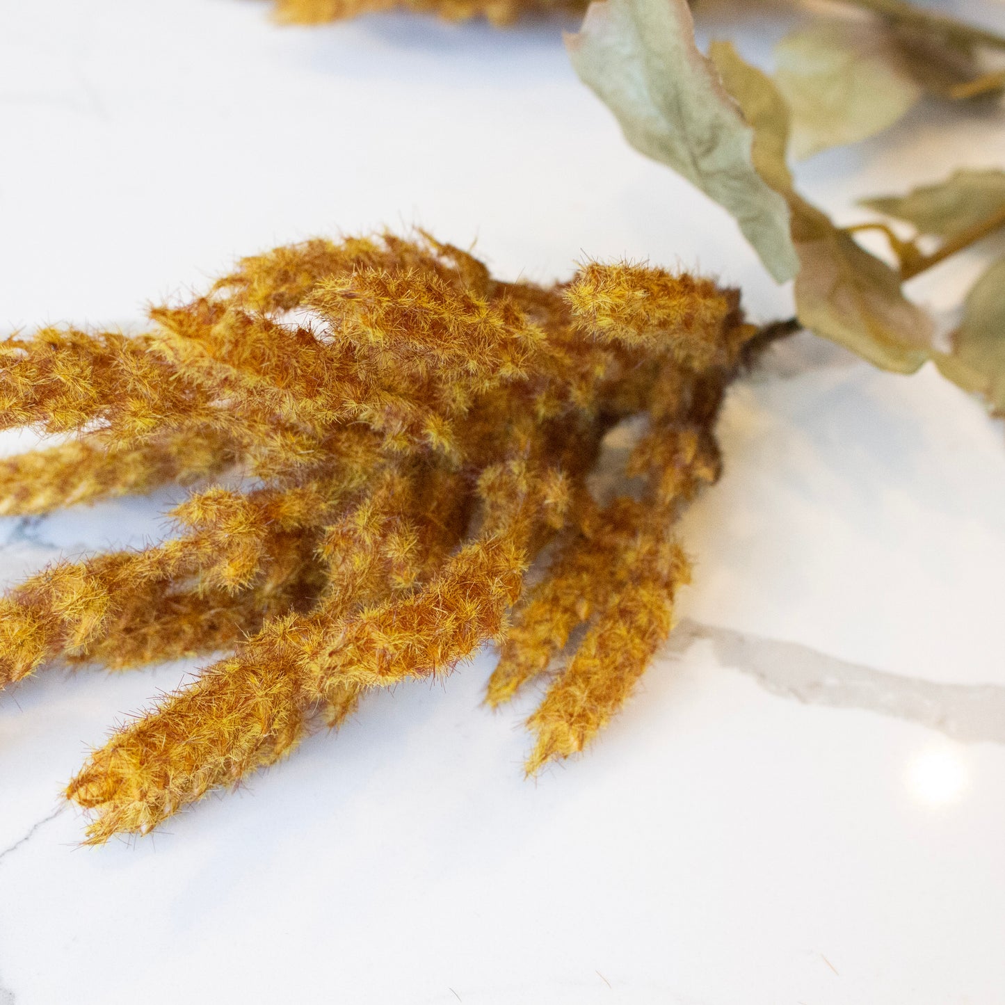 Golden Fields Cattail | Cider