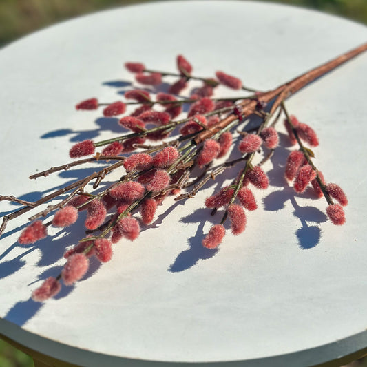 Burgundy Willow Pick