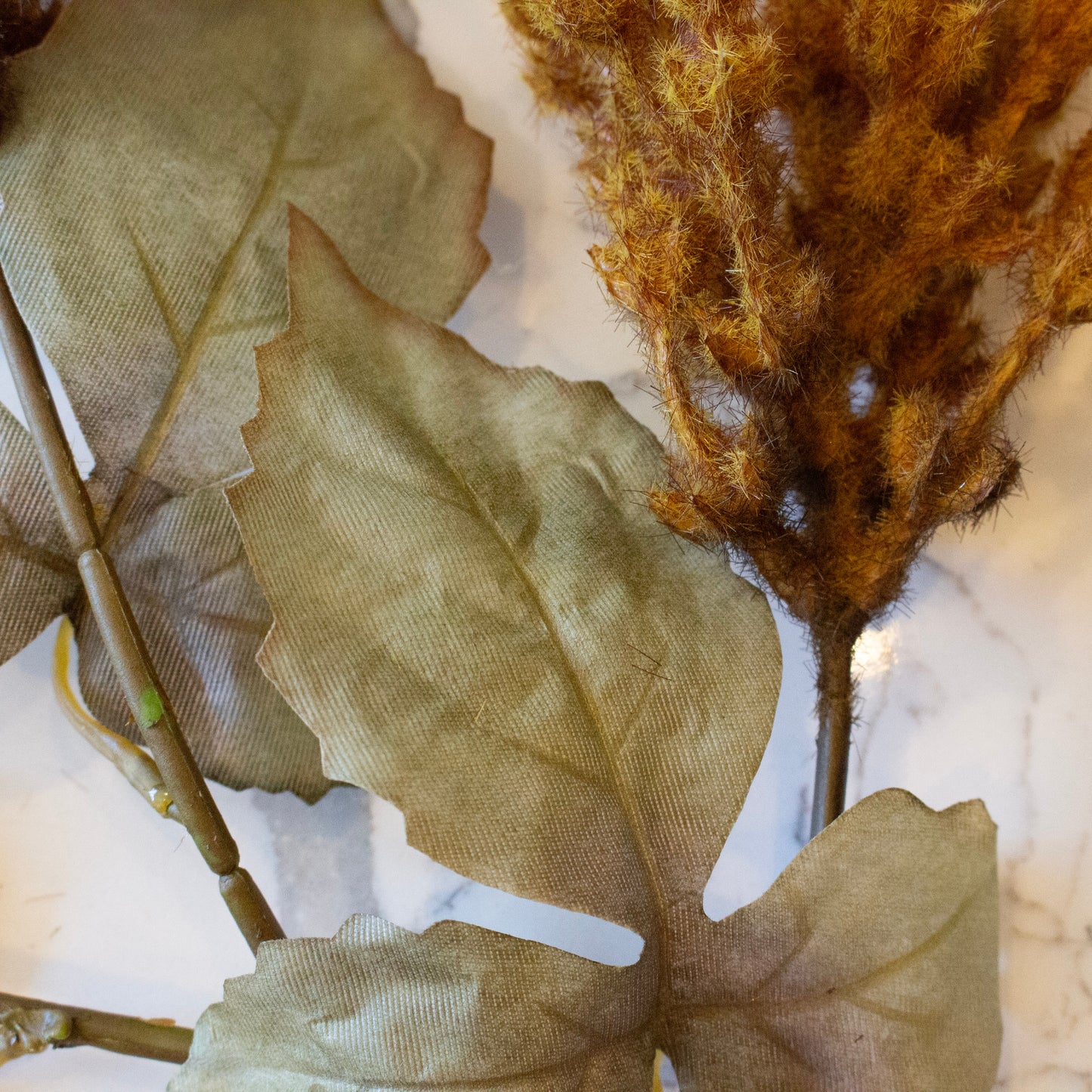 Golden Fields Cattail | Cider