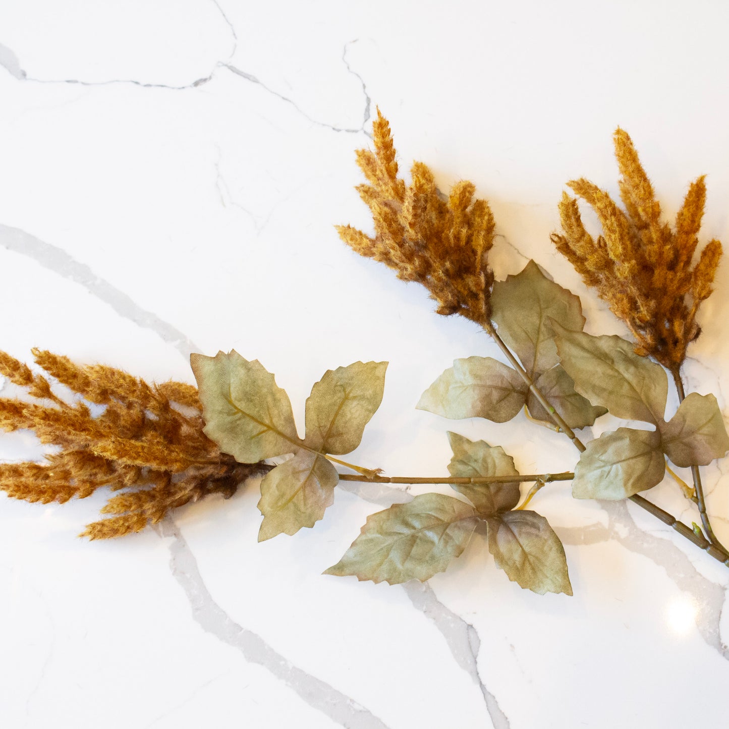 Golden Fields Cattail | Cider