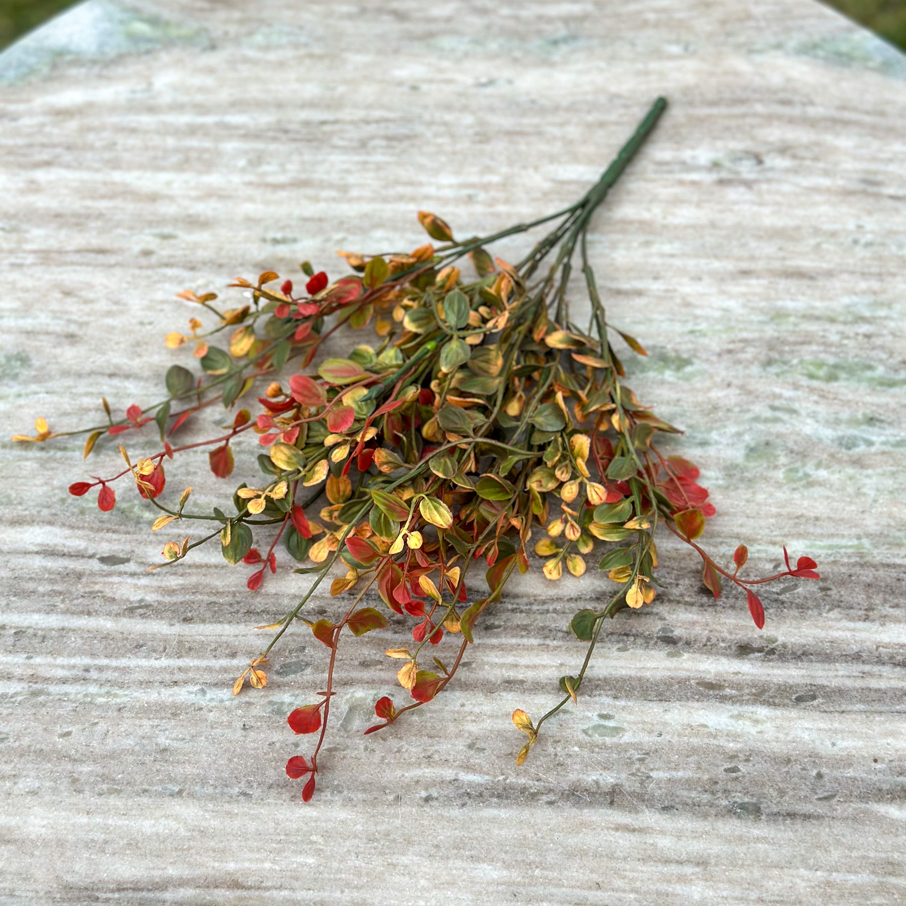 Pimpernel Bush | Set of 2