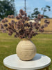 Rustic Seed Pod Bush | Powdered Finish