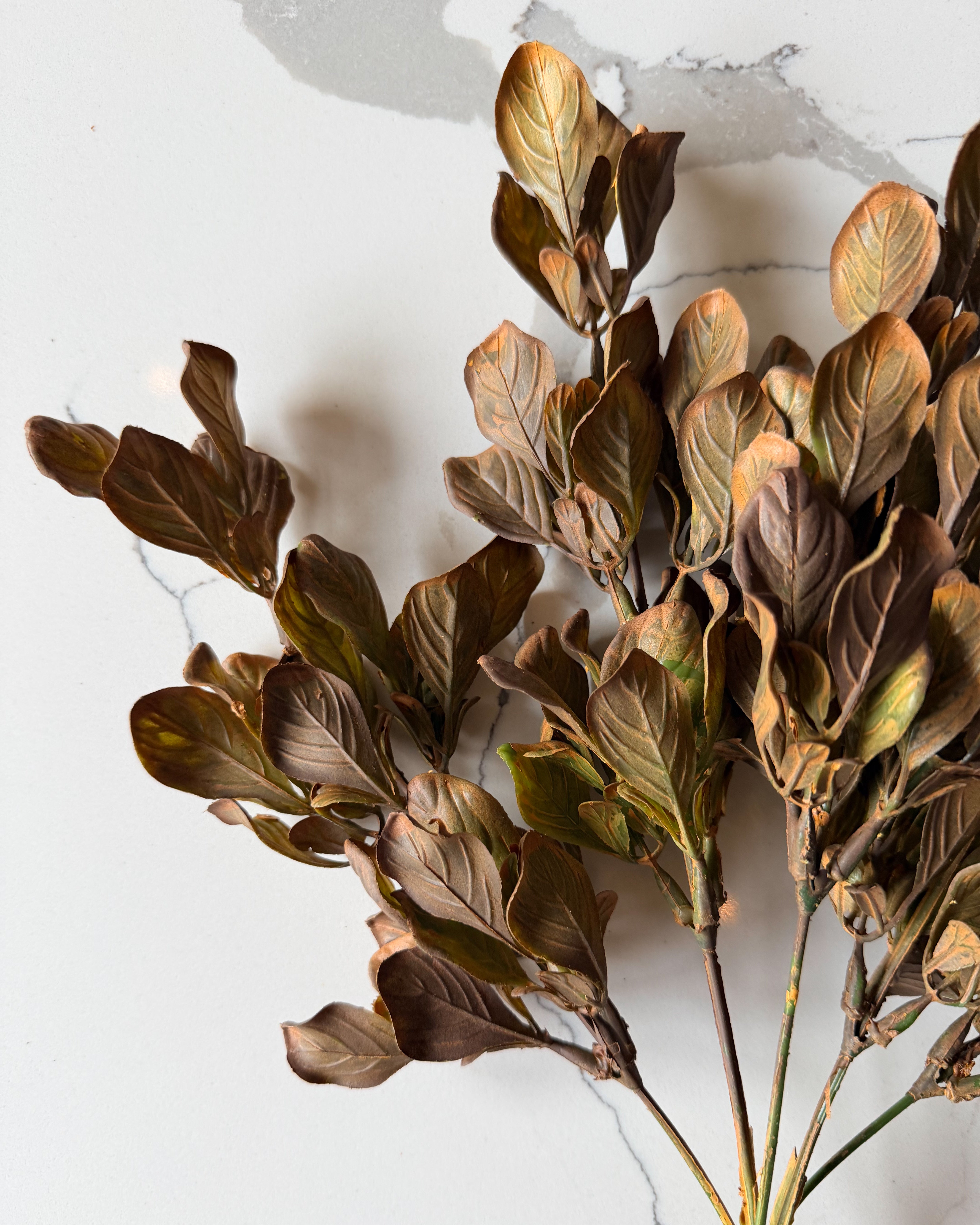 Golden Meadow Leaf Stem