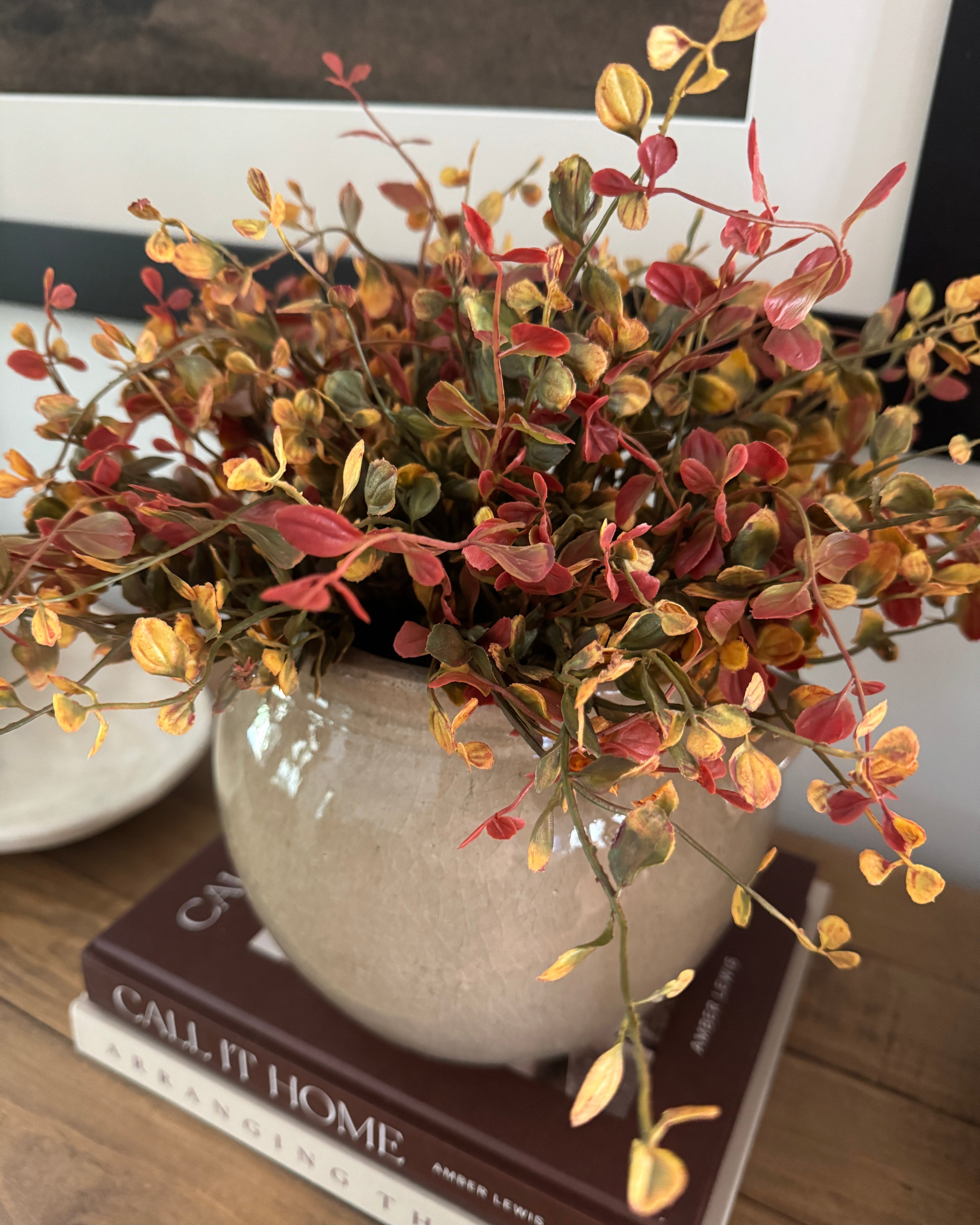 Pimpernel Bush | Set of 2