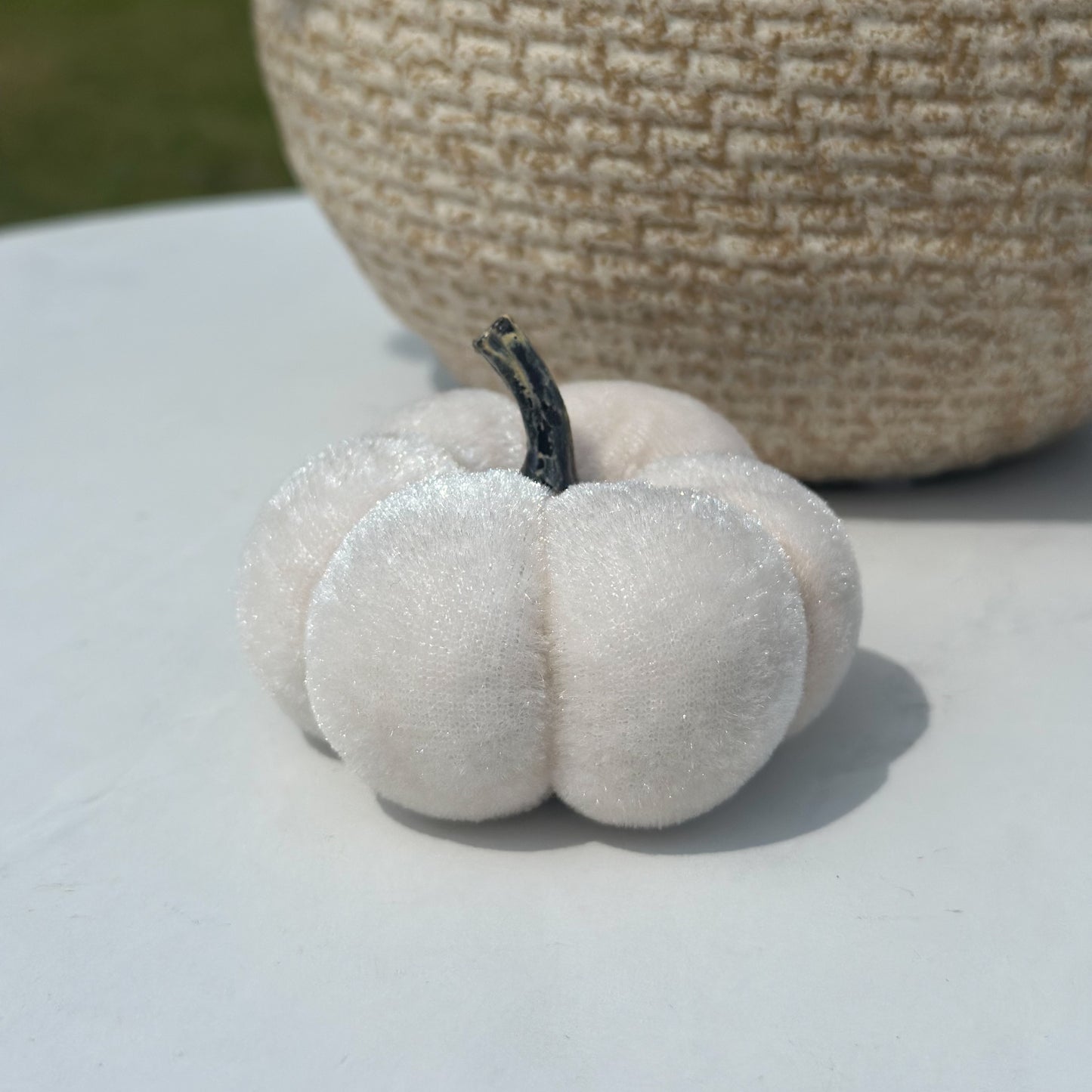 Velvet Pumpkin | Harvest, Snow, or Mocha