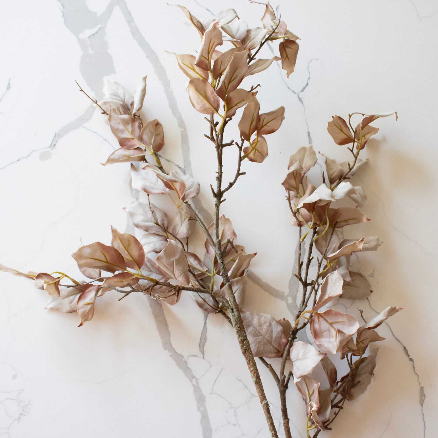 Taupe Leaf Branch