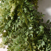 Celyse Leafy Wreath