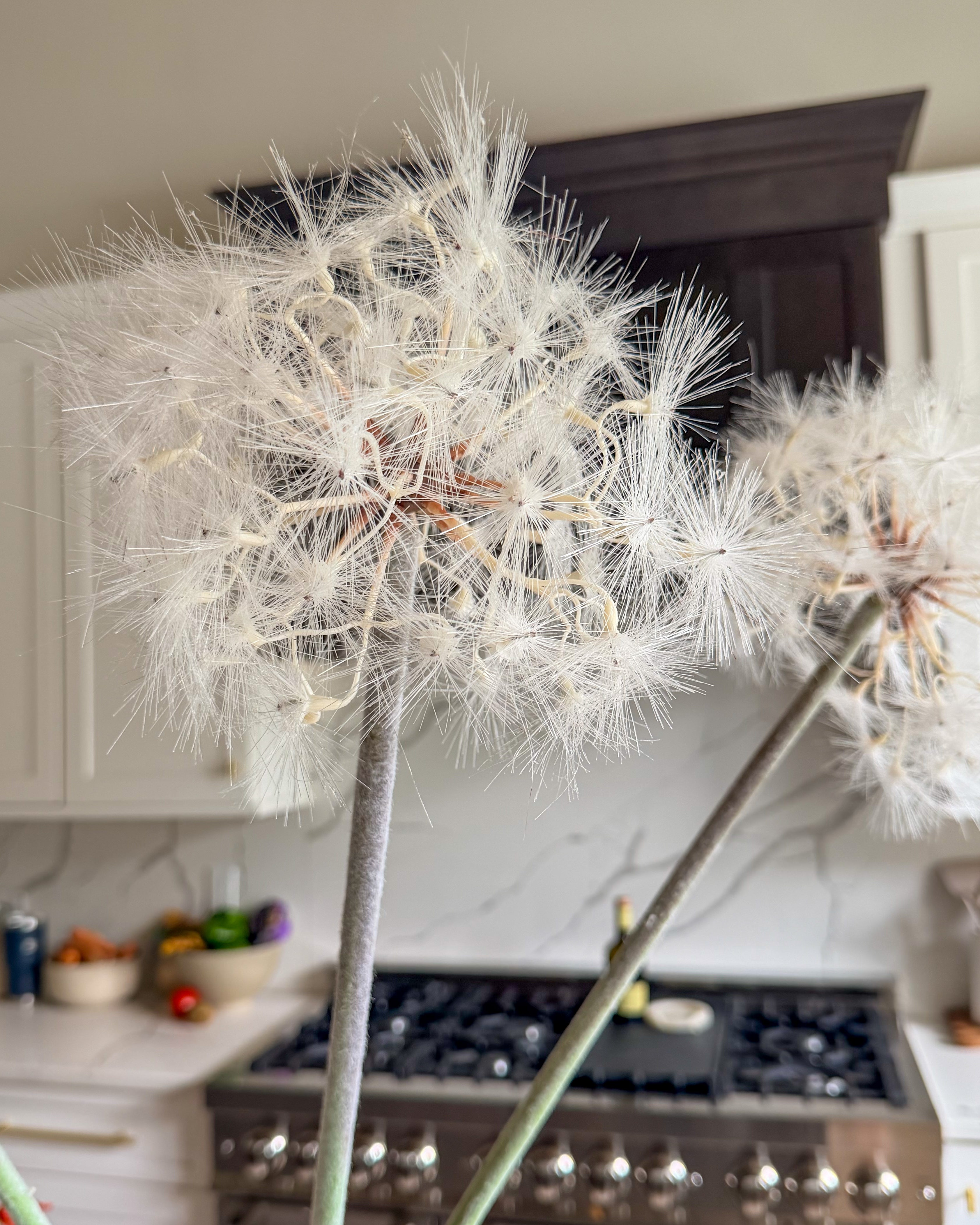 Faux Grand Meadow Dandelion Stem