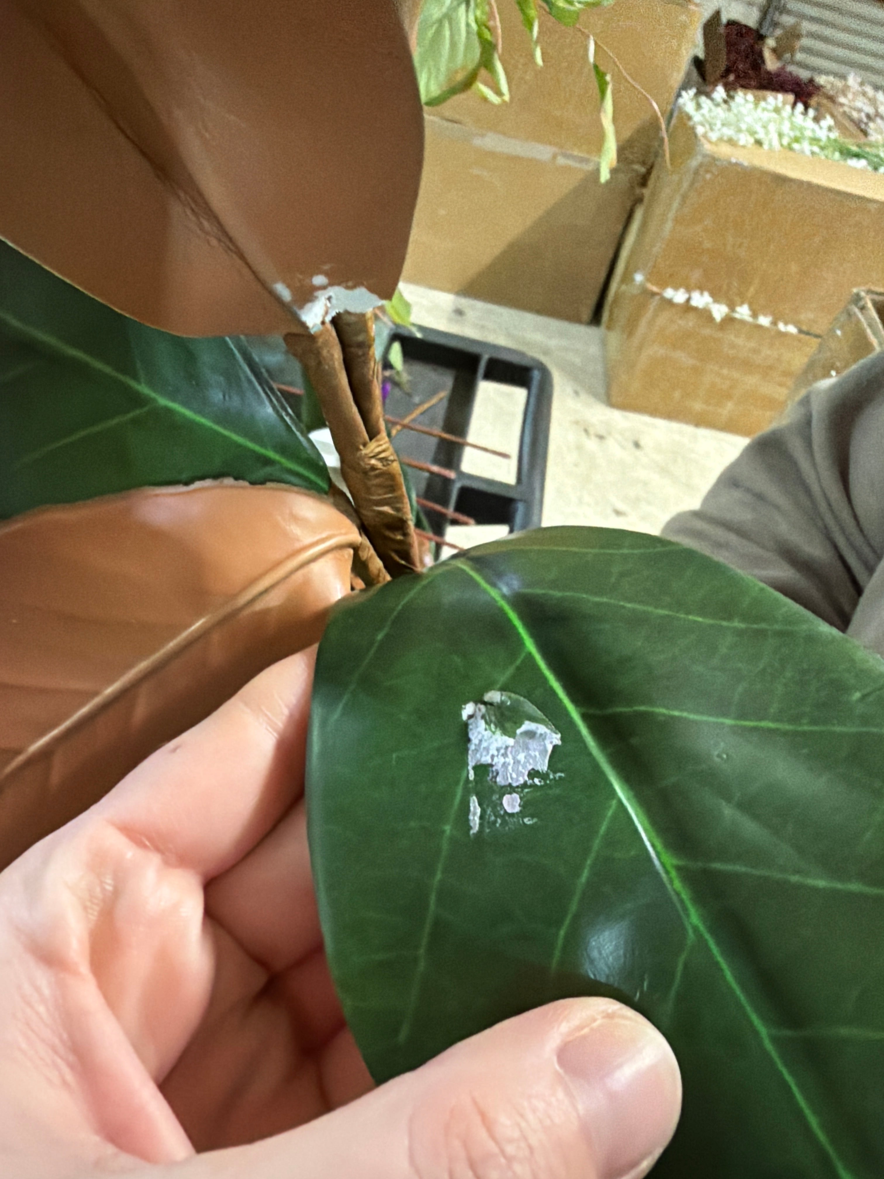 Real Touch Magnolia Leaf Stem | Scratch & Dent