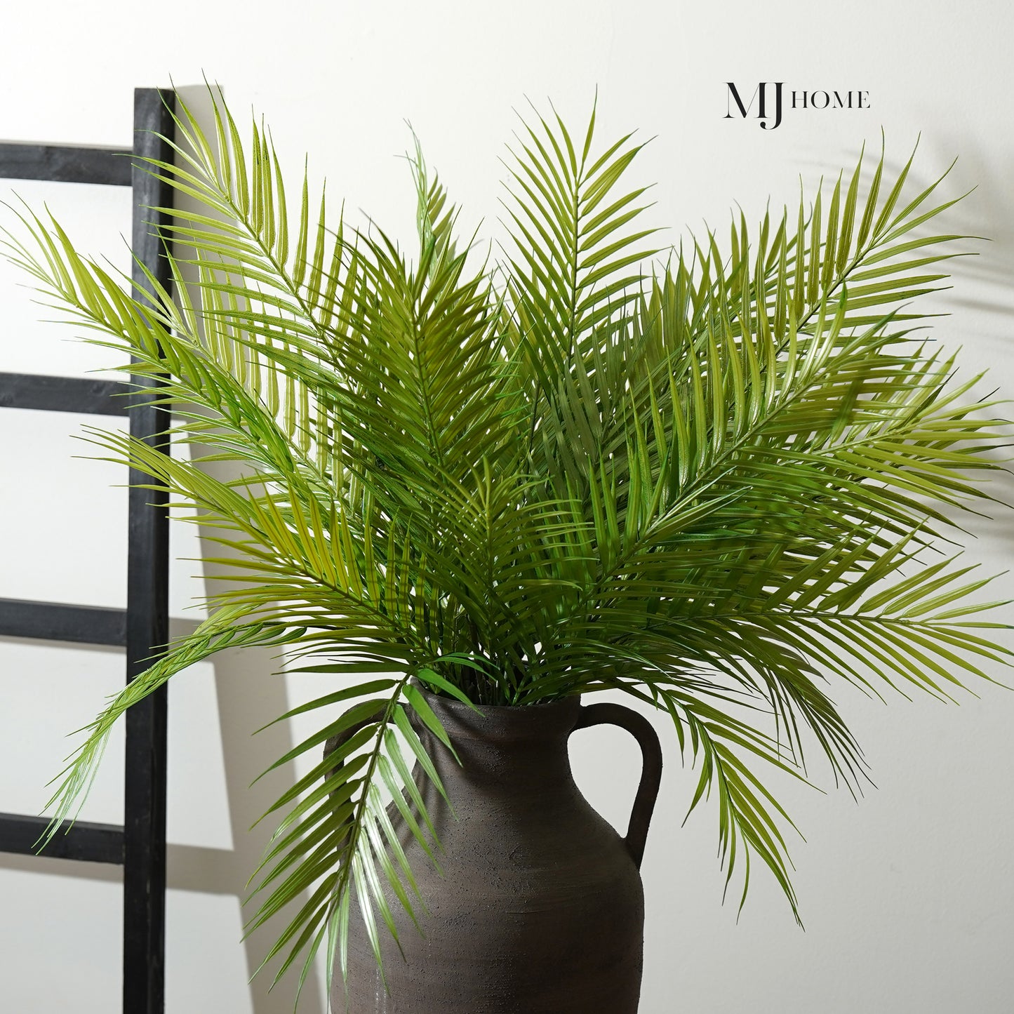 Fernando Palm Bush