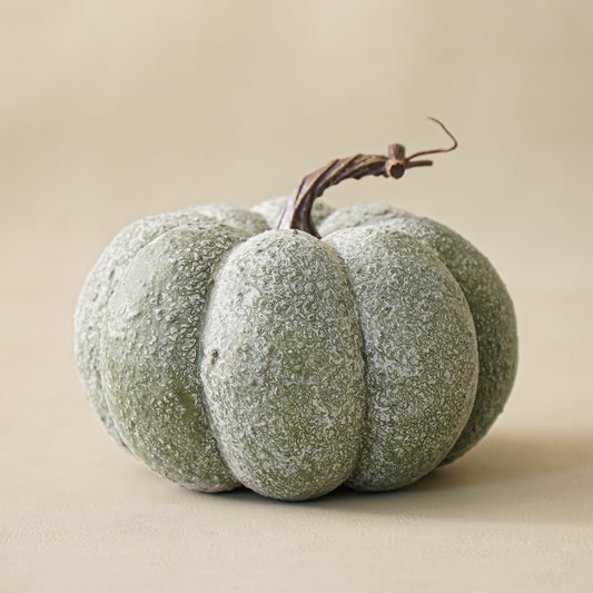 Sage Whitewashed Pumpkin | Textured Fall Decor
