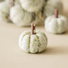 Bag of Mini Sage Pumpkins