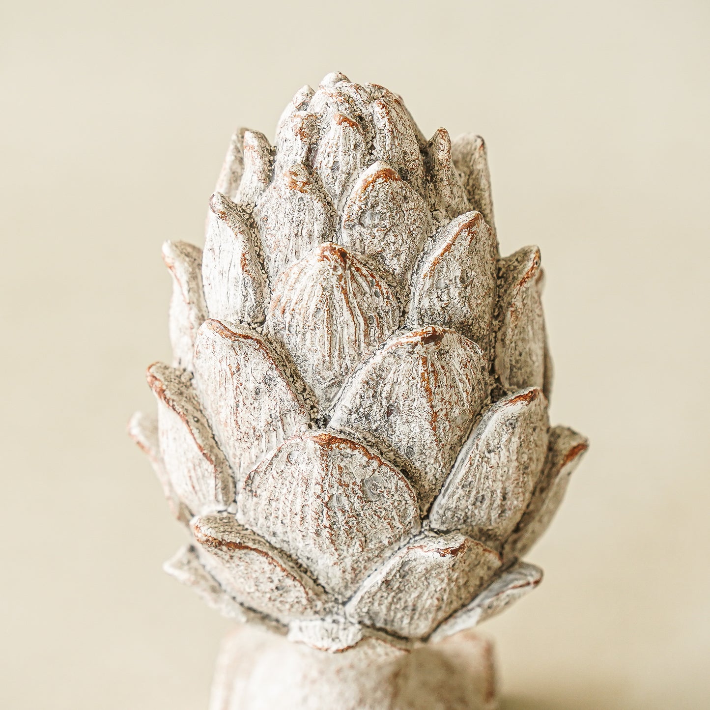 Whitewash Artichoke