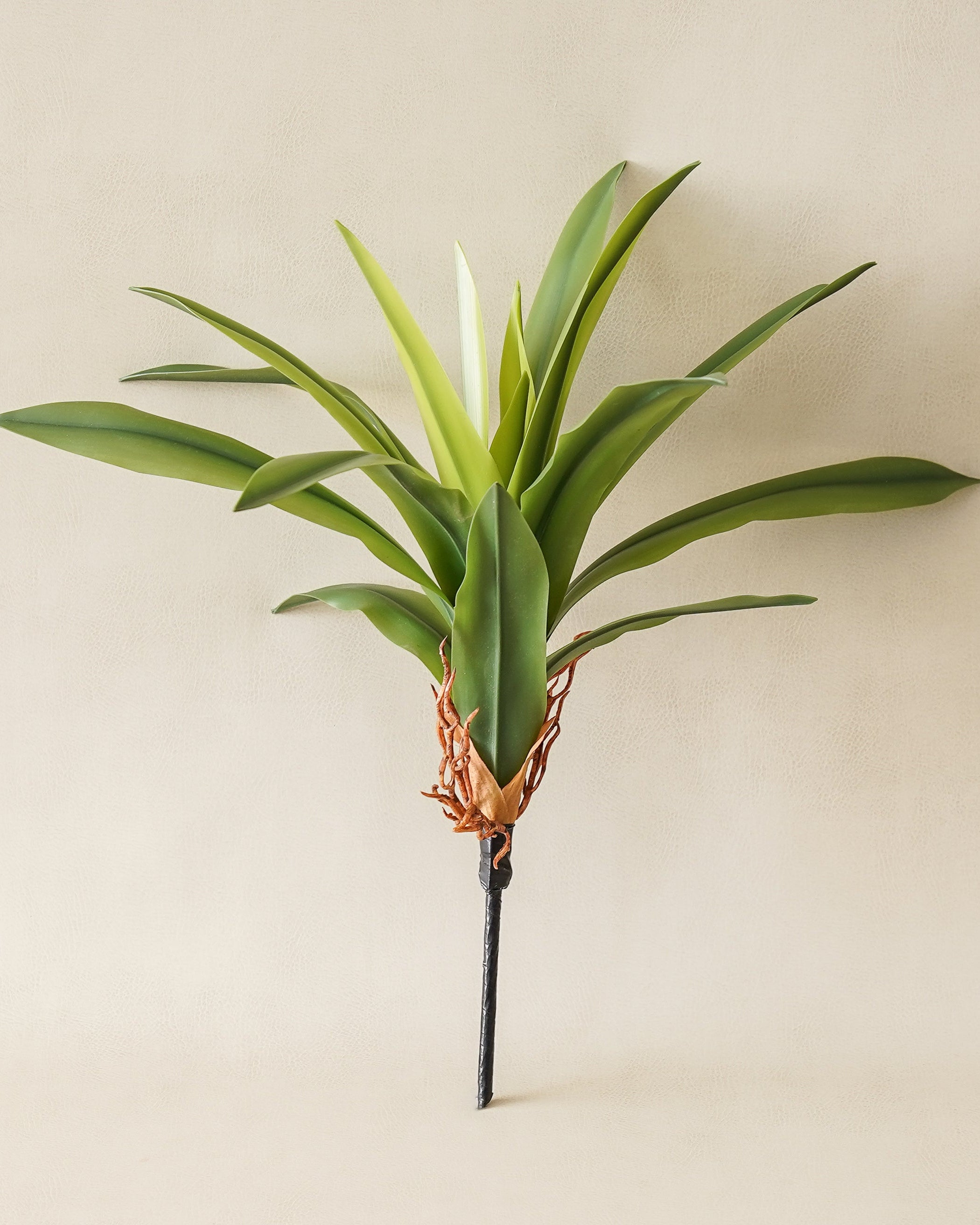 Romilly Real Touch Agave
