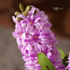 Belle Real Touch Hyacinth Pick