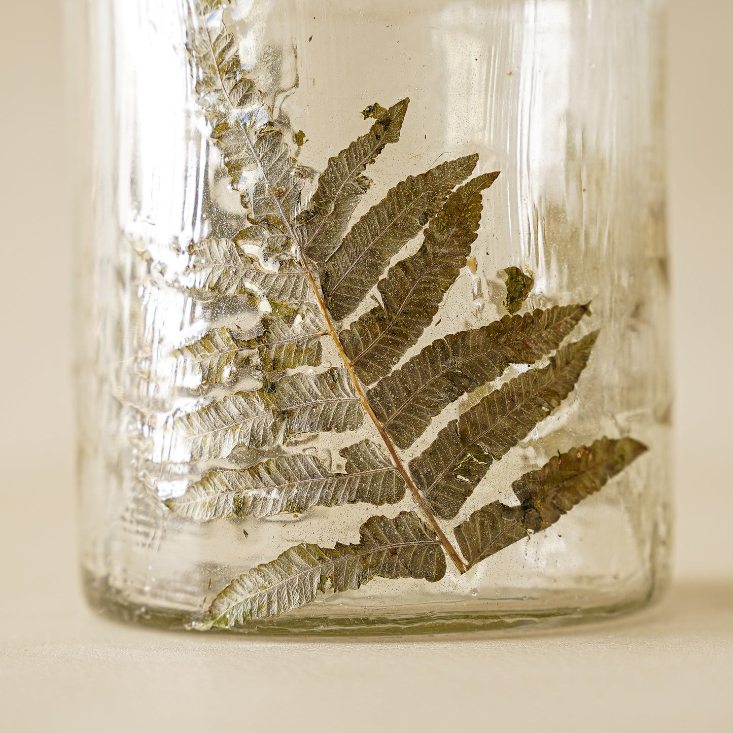 Pressed Leaf Candle Holder