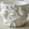 Bird Decal Pots