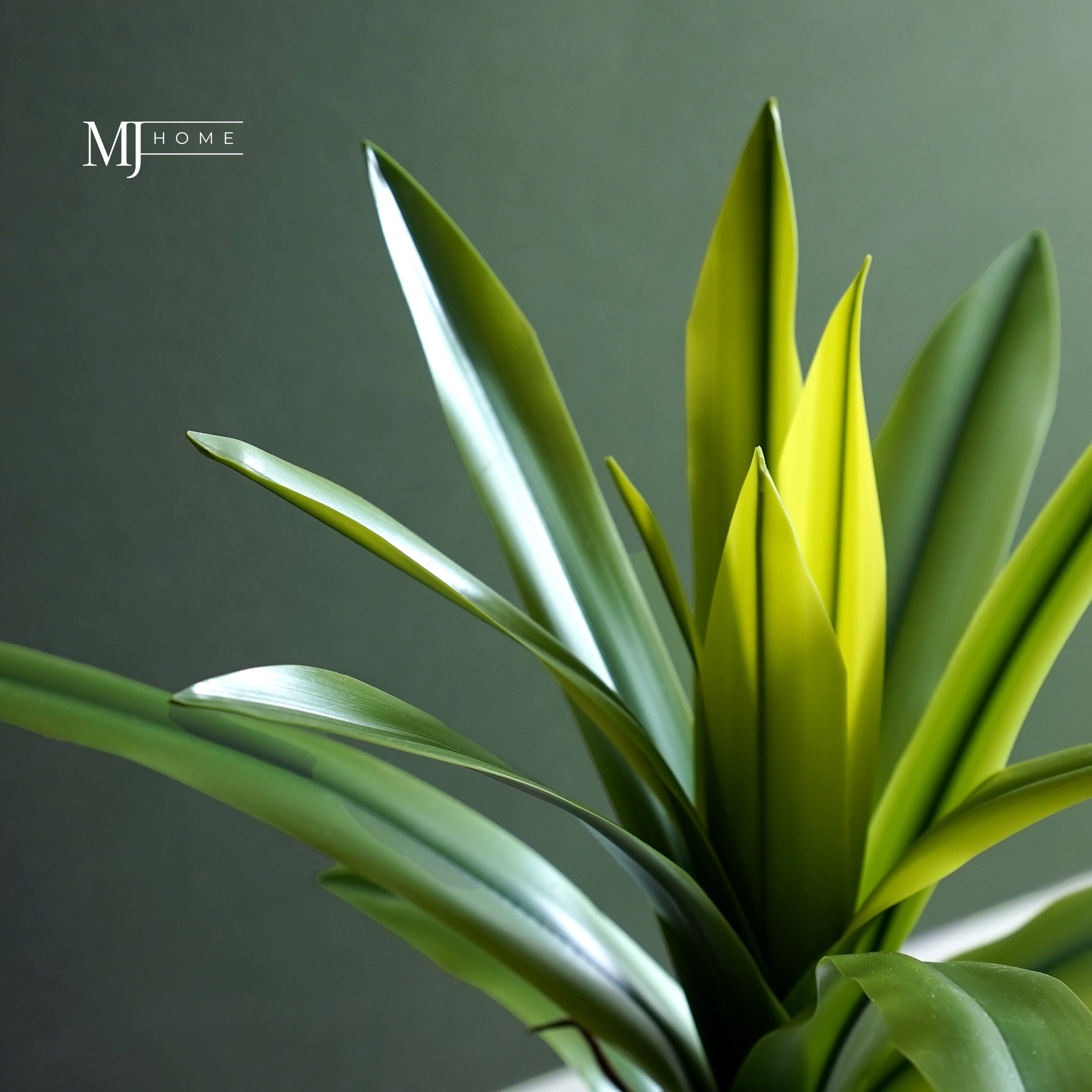 Romilly Real Touch Agave