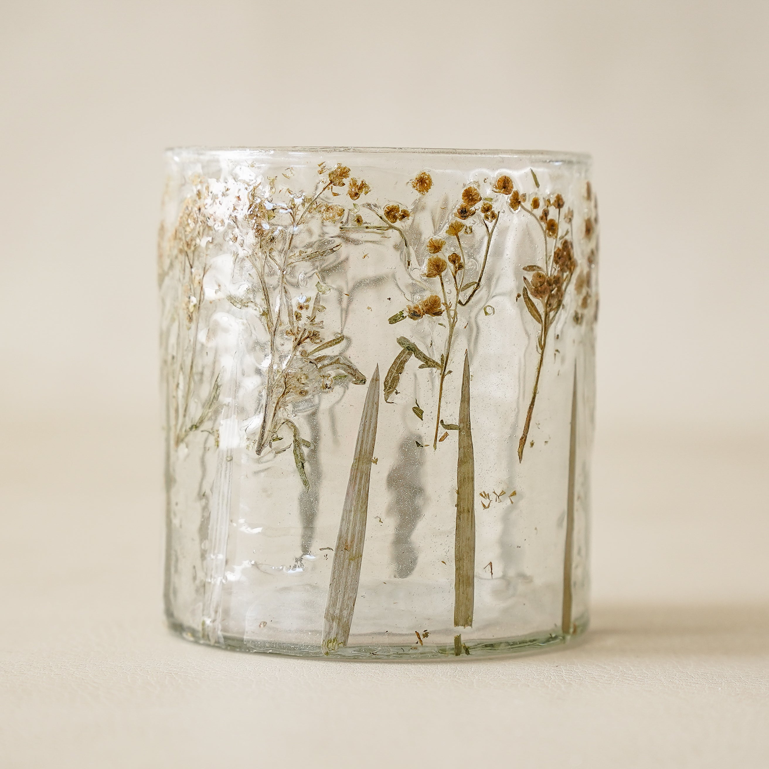 Pressed Babies Breath Jar | Small