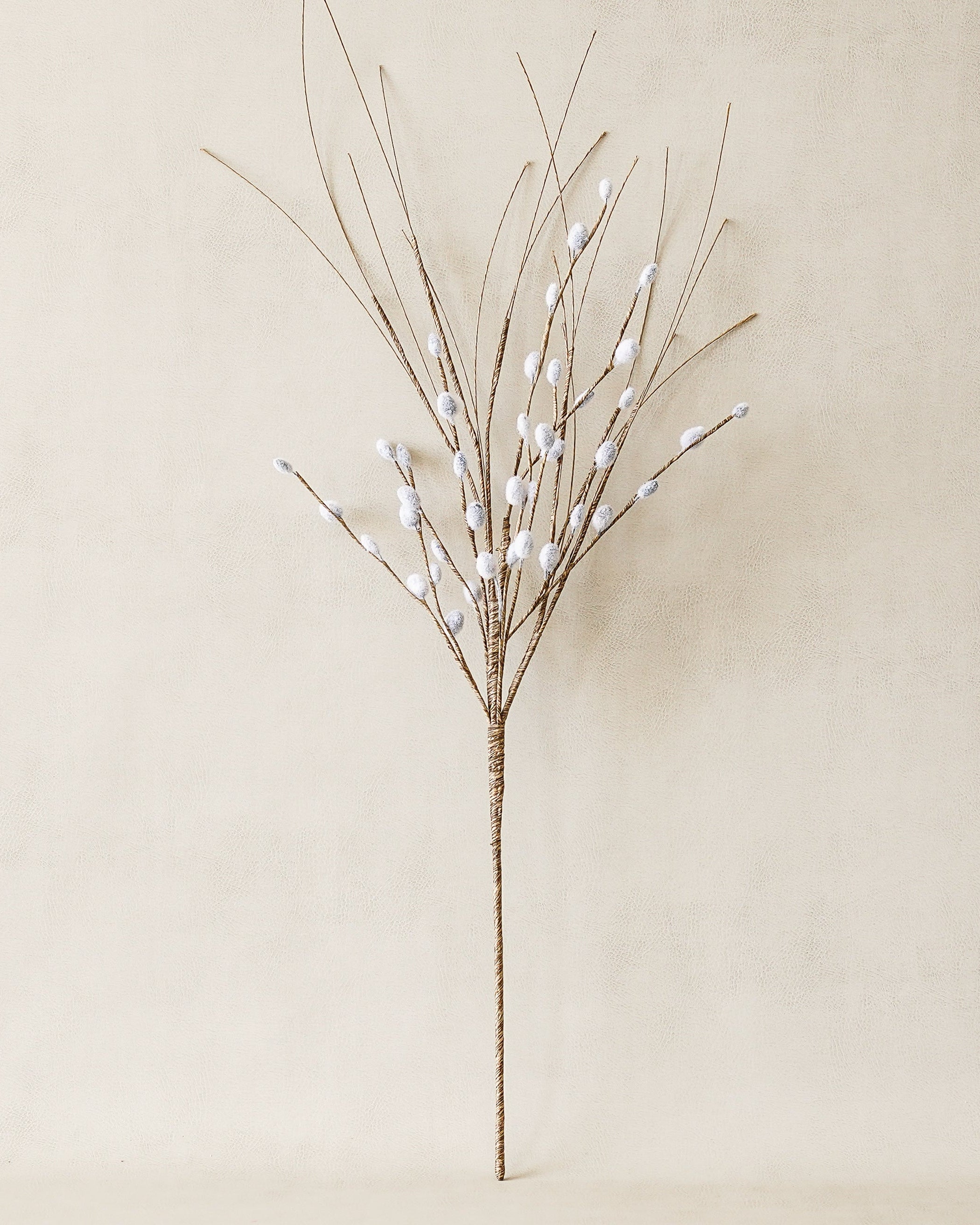Pussy Willow Stem