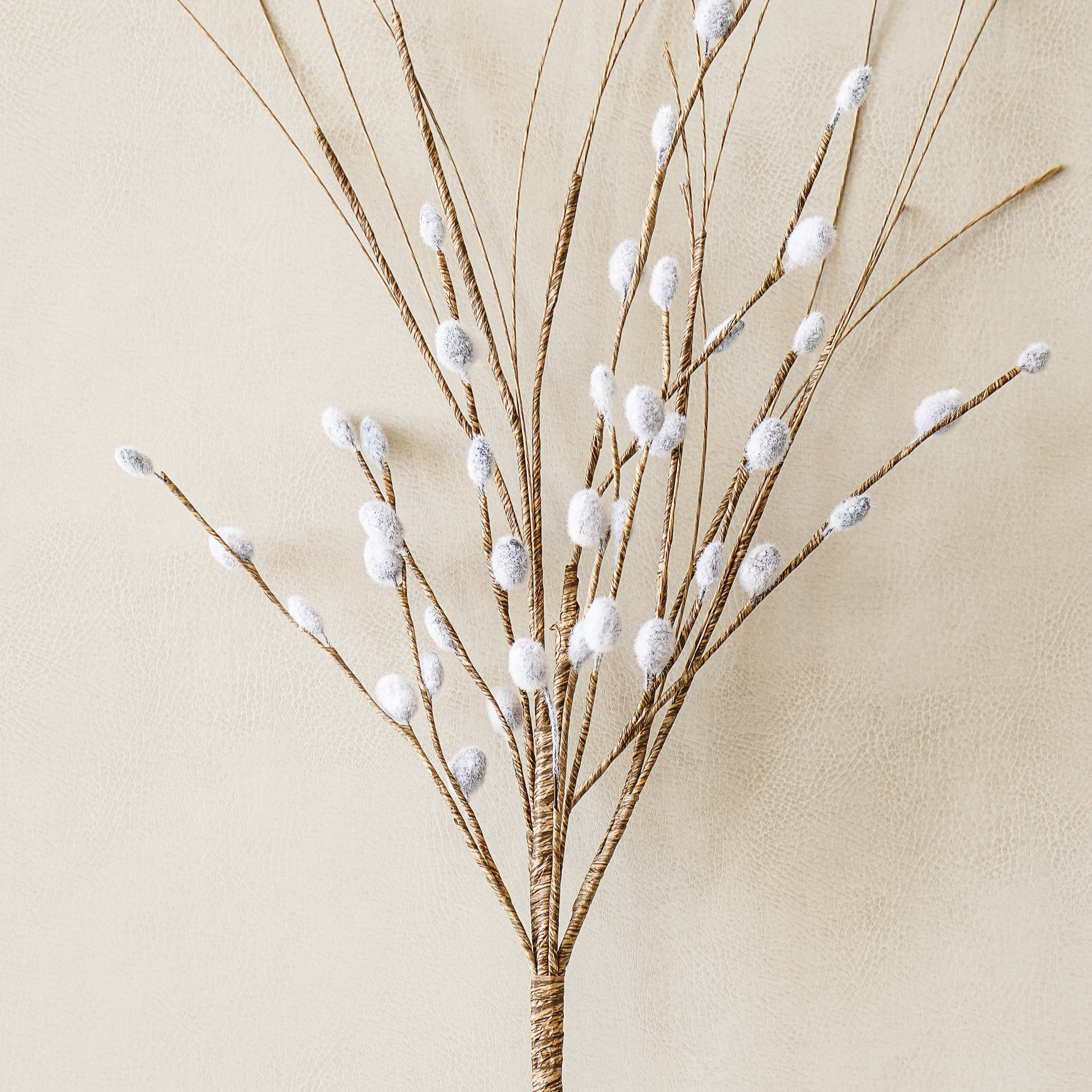Pussy Willow Stem