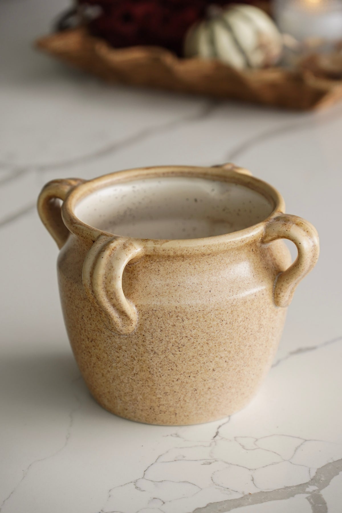Provencal Four Handle Pot | Short