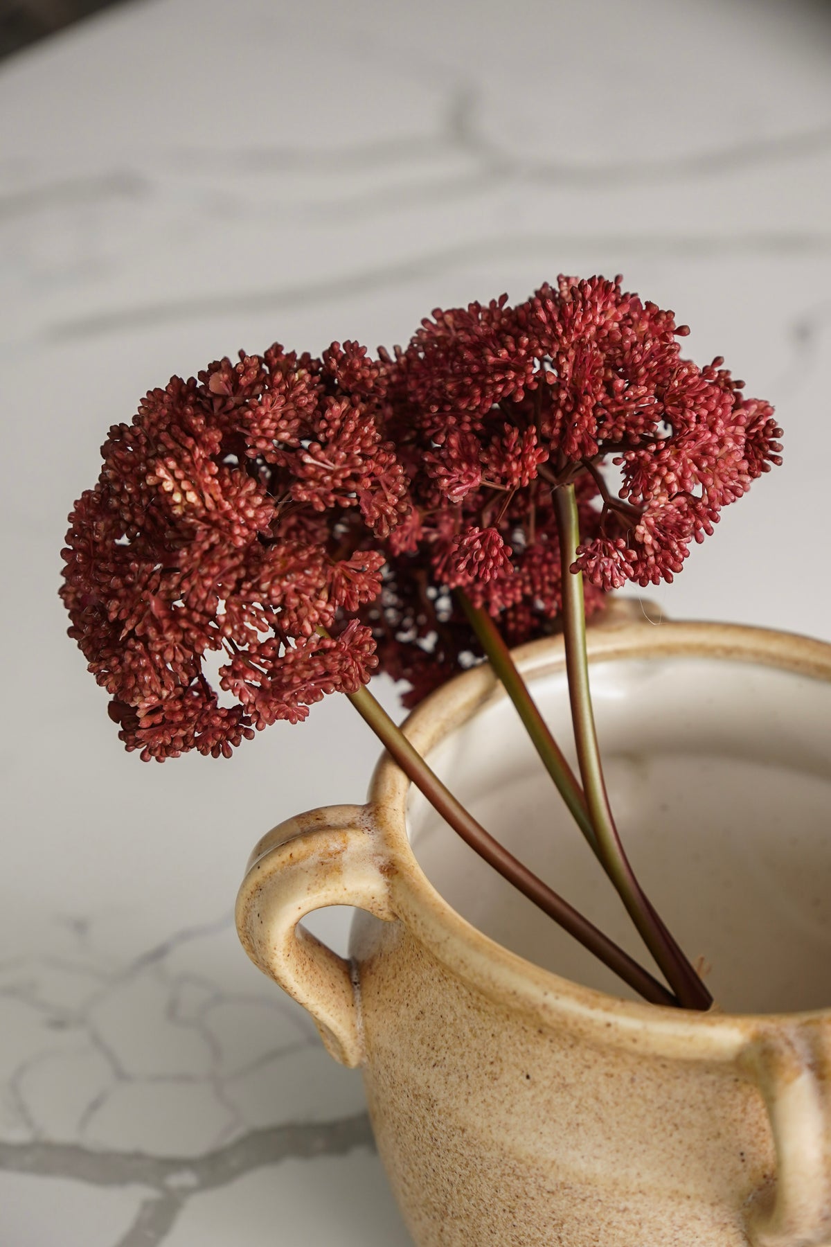 The Burgundy Harvest Styled Look