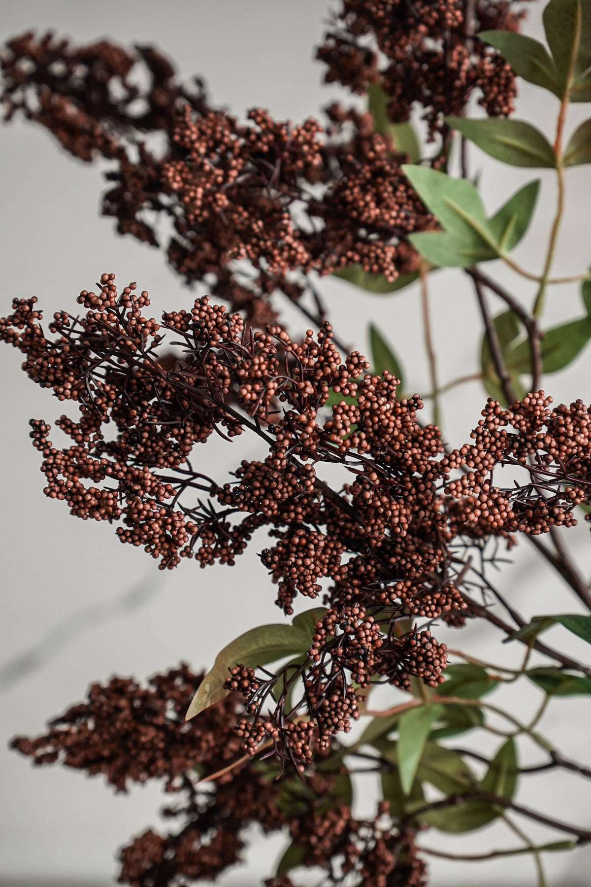 Wild Berry Spray