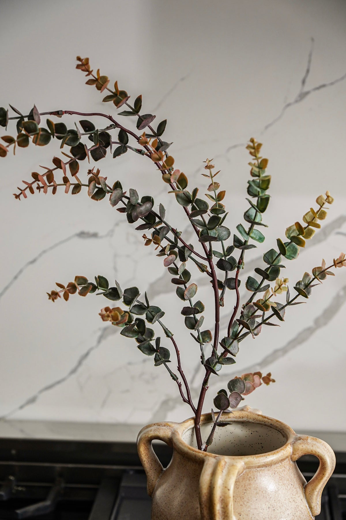 The Autumn Eucalyptus Styled Look