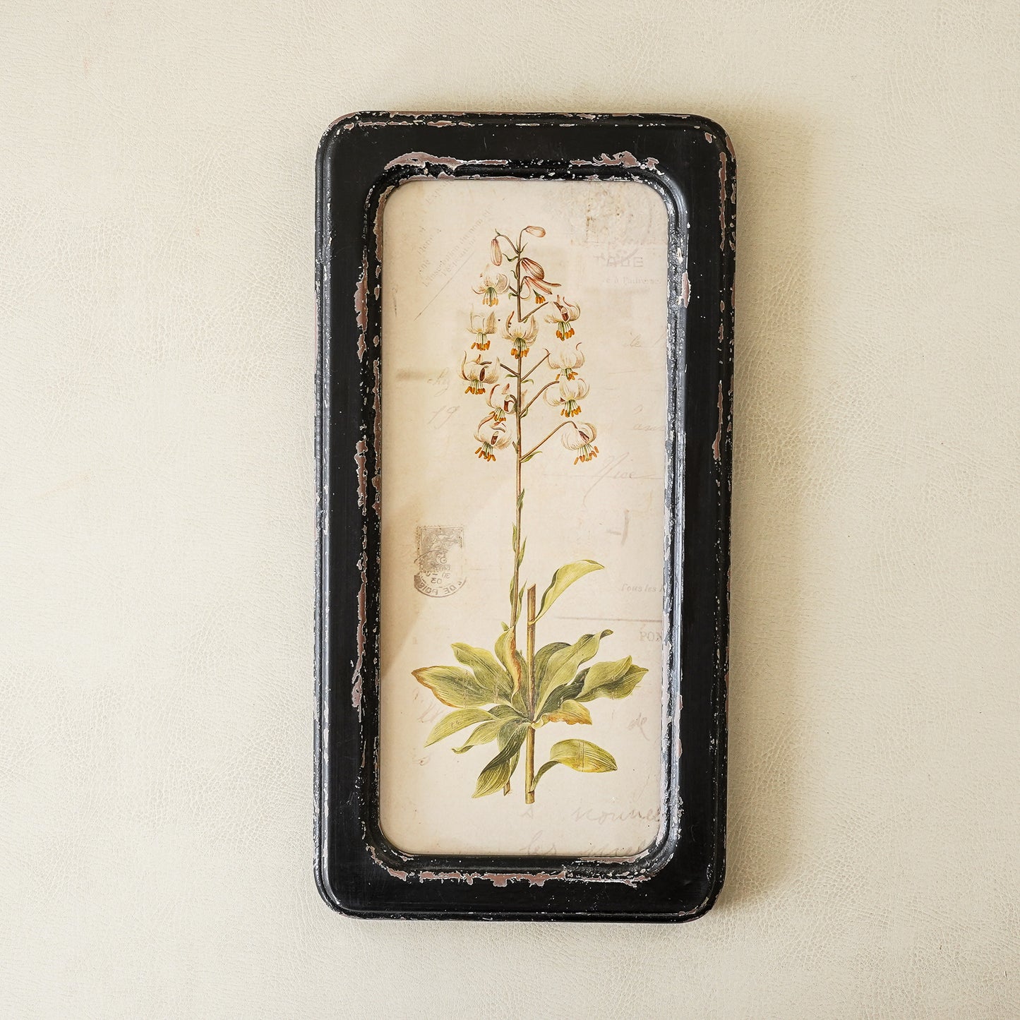 Framed Botanical Print