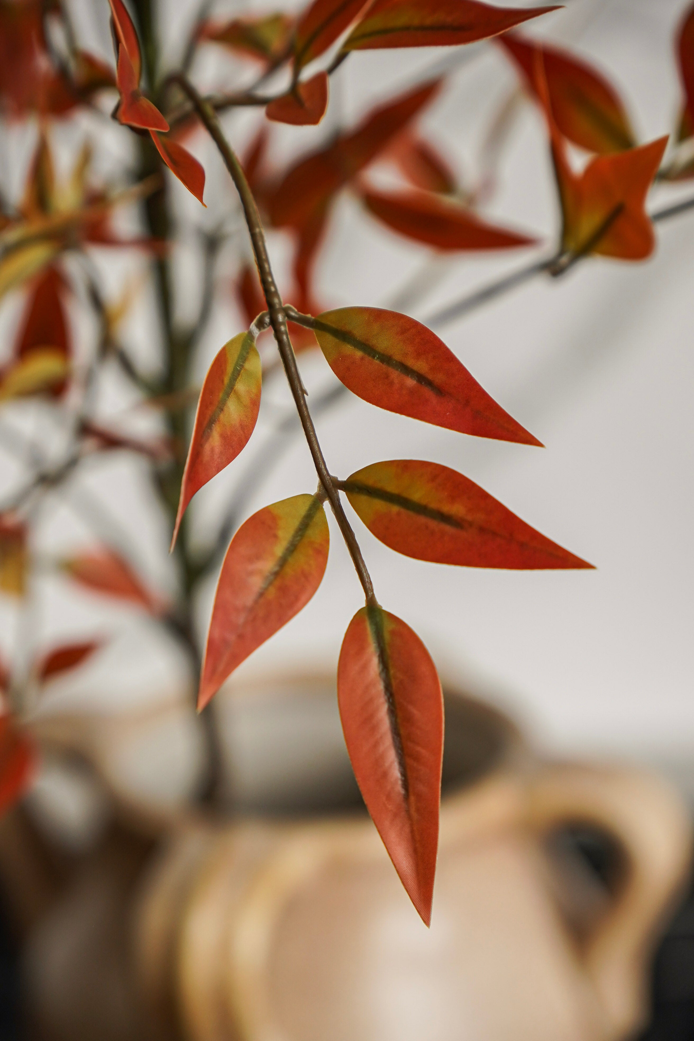 The Turning Leaves Styled Look