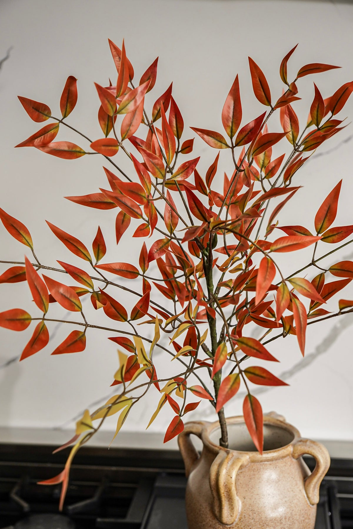 The Turning Leaves Styled Look